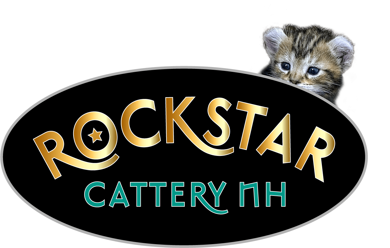 RockStar Cattery NH